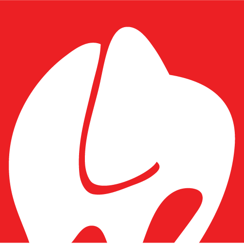 Professionals in Cinematography